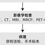 Advances in Diagnosis and Treatment of Intrahepatic Cholangiocarcinoma