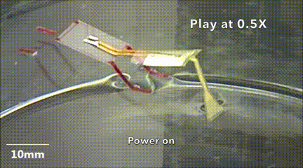 University of Pittsburgh's Miniature "Insect" Robot: Amphibious and Capable of Performing Tasks in Tight Spaces