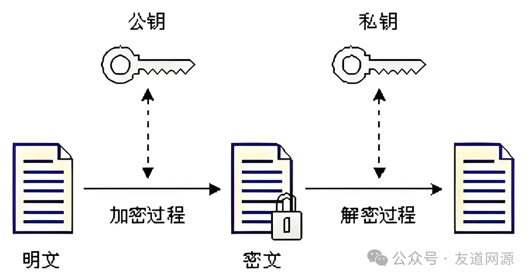 Exploring the Encrypted World: A Journey from Basic Algorithms to Digital Certificate Security