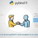 A Powerful Tool for Seamless Integration of C++ and Python