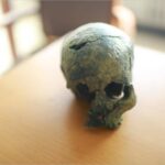 3D Printing & Craniofacial Reconstruction | See How NWU Researchers Reveal the Truth About Tang Dynasty Beauties!