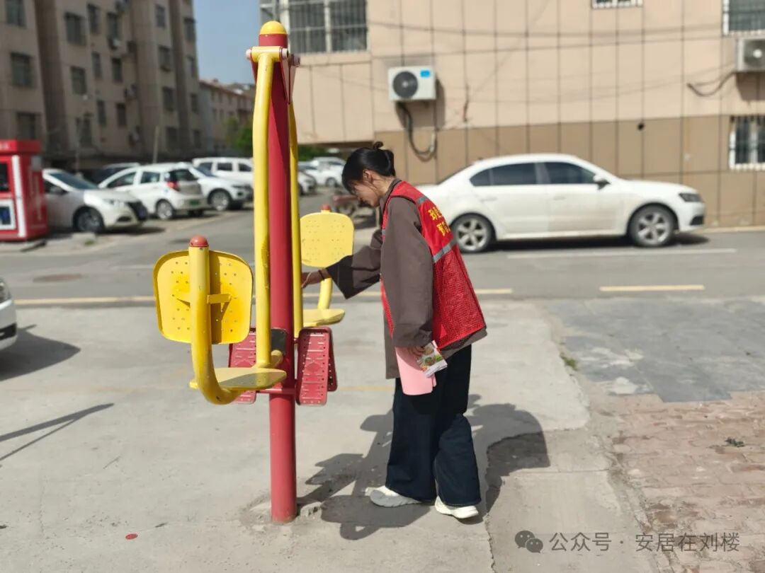 Embedded Services: Strengthening Security Networks through Poppy Inspections