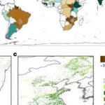 Land Strategy for Achieving the 1.5°C Target and Its Heterogeneous Pressure on Farmland