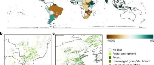 Land Strategy for Achieving the 1.5°C Target and Its Heterogeneous Pressure on Farmland