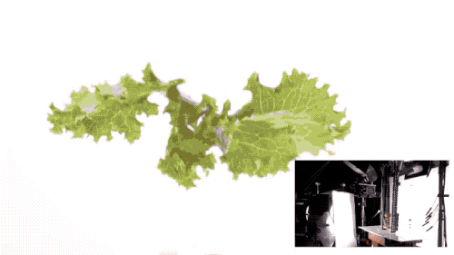 The Flying Food in Advertisements is Not Computer Graphics: Military Equipment Used in the Filming Process