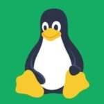 Advanced File System Management in Linux