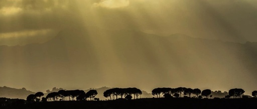 Technical Evolution and Application Analysis of Copper Damascene Process in the Semiconductor Field