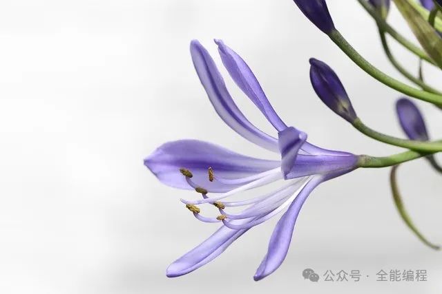 Exiv2: A Powerful C++ Library for Image Metadata Processing