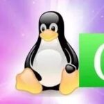Linux C Language Coding Style