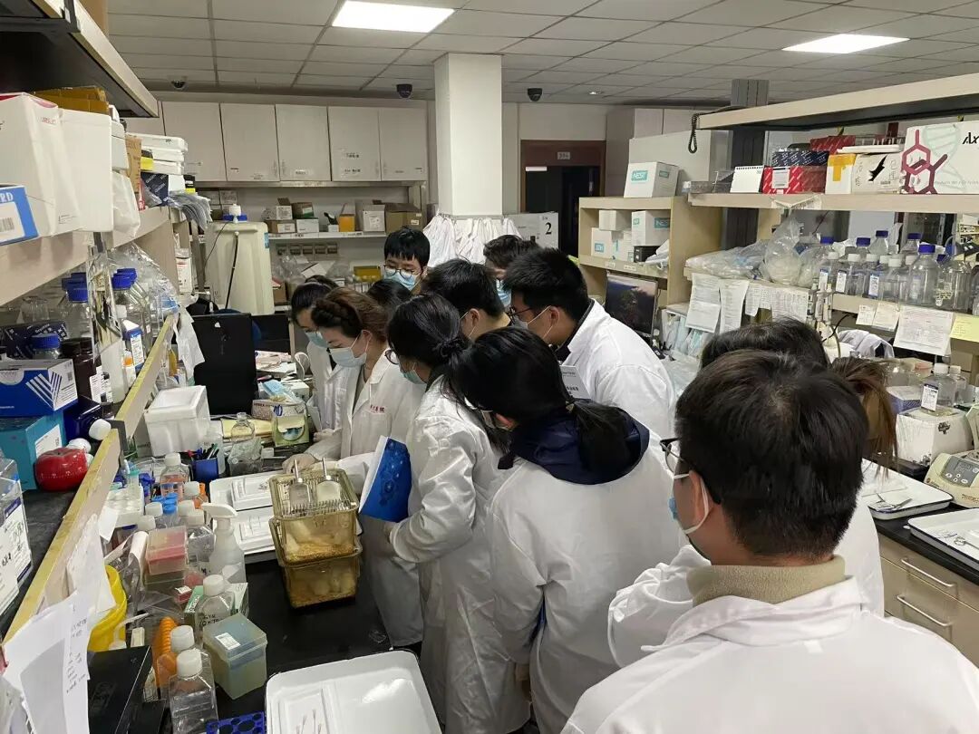 Shanghai Jiao Tong University - Qingpu Senior High School "Innovation Training Camp" Successfully Concludes