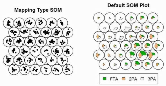 Self-Organizing Maps (SOM): Unlocking the Topological Structure and Clustering Analysis of High-Dimensional Data
