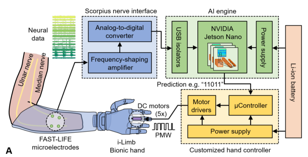 How Can Development Boards Be Used? American Scholars Use Jetson Nano to Support Portable AI Prosthetics, Controlling Each Finger