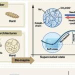 Extreme Manufacturing | 3D Printing of Hard/Soft Switchable Hydrogels