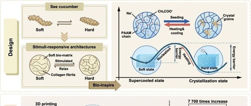 Extreme Manufacturing | 3D Printing of Hard/Soft Switchable Hydrogels