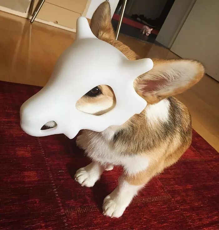 What Can 3D Printing Do? 30 Images to Experience the Marvel of Technology and Creativity!