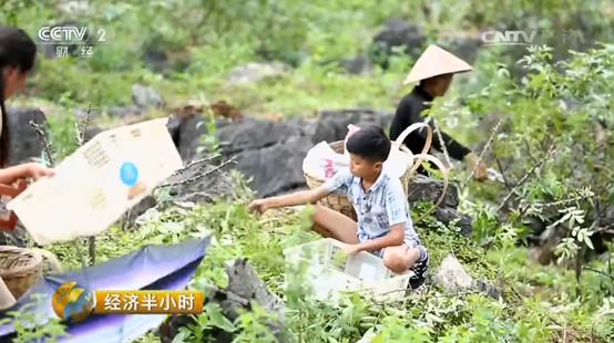 From Poverty Alleviation and Road Construction to Semiconductors