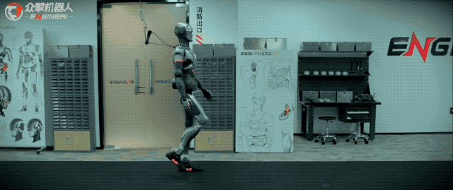 The World's First Robot Marathon: Which 'Competitors' Will Shenzhen Send?