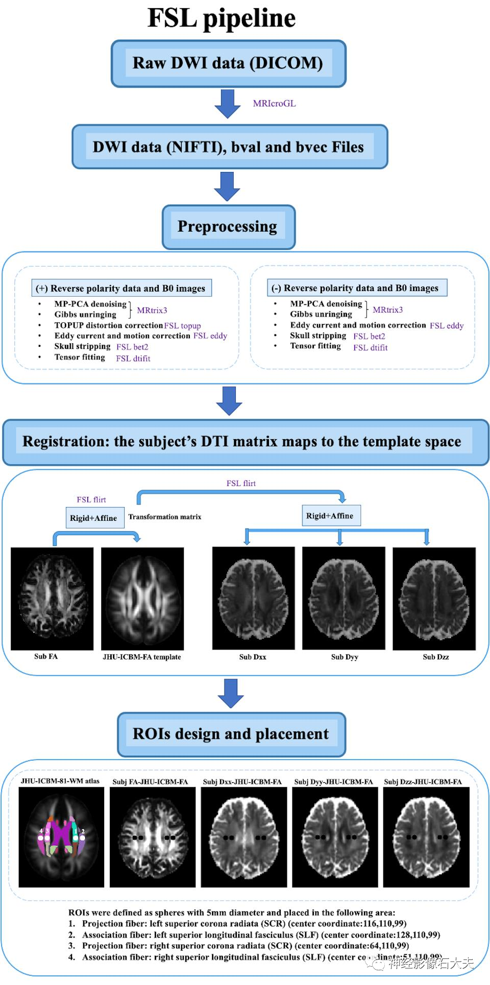 Evaluation of the Lymphatic System Function Using Diffusion Tensor Imaging Analysis Along the Perivascular Space (DTI-ALPS): A Cross-Vendor Test-Retest Validation