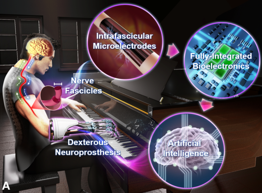 How Can Development Boards Be Used? American Scholars Use Jetson Nano to Support Portable AI Prosthetics, Controlling Each Finger