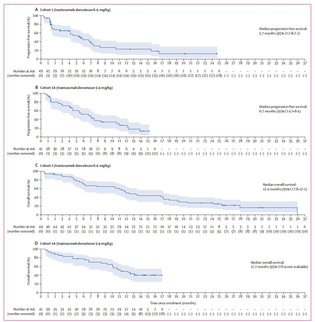 Lancet Oncology Publishes! Efficacy and Safety of DS-8201 in Treating HER2-Positive Lung Cancer