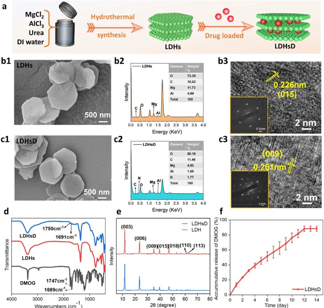 Professor Luo Binghong's Team from Jinan University Publishes in ACS Nano: A Multifunctional 3D Printed Scaffold with Spatiotemporal Release of Multiple Drugs for Bone Regeneration