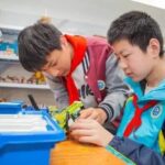 AI-Focused Courses Ignite Youth's 'Science Dream' in Schools