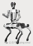Is There a Need for Humanoid Robots?