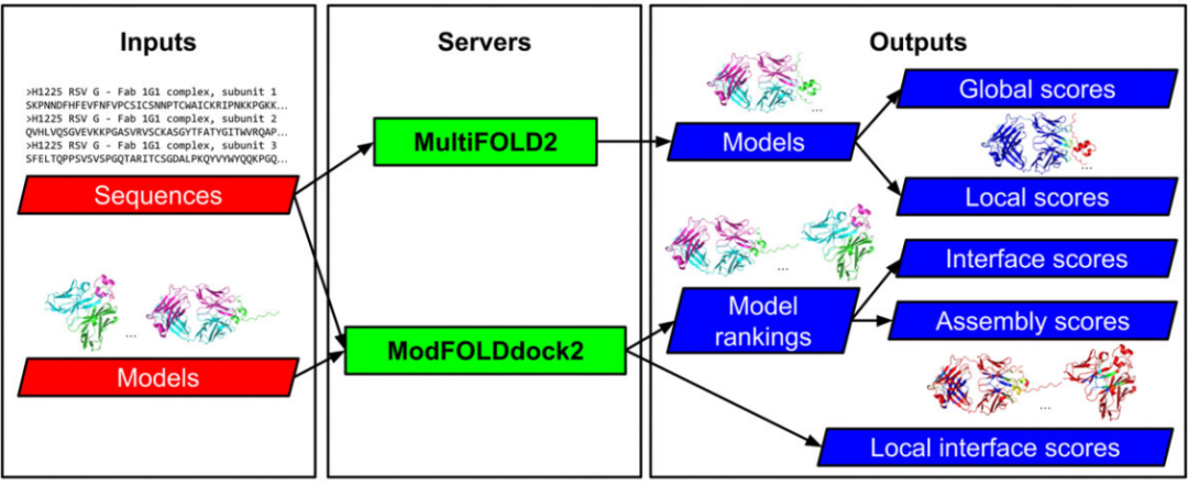 MultiFOLD2 and ModFOLDdock2: New Standards for Protein Complex Structure Prediction and Quality Assessment