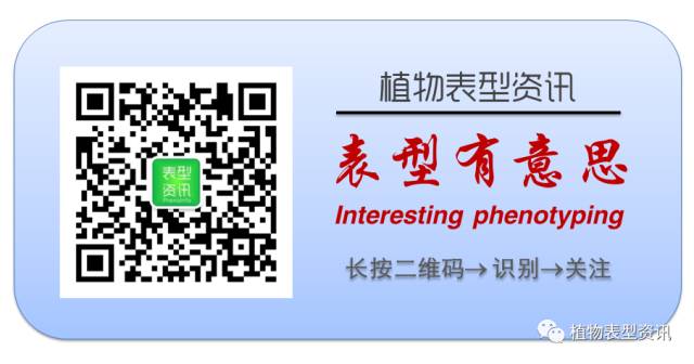 Video: Phenotypic IoT Empowers Smart Breeding
