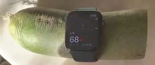 Smartwatch Measures Radish Heart Rate at 68 BPM, Can Sausages Also Show Blood Oxygen Levels? Expert Explains