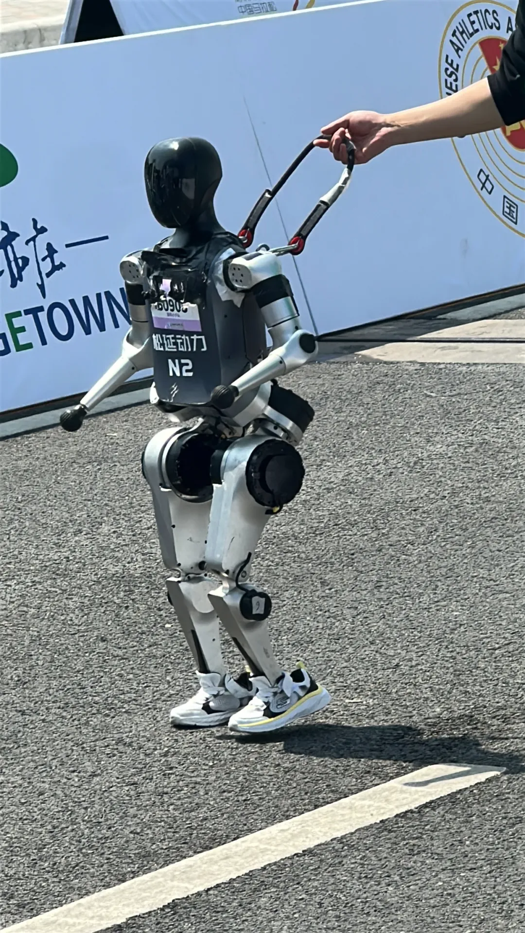 Robots Team Up for a Marathon: A Large-Scale "Performance"