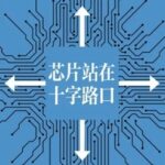 The Semiconductor Industry at a Crossroads: Division or Reconciliation?
