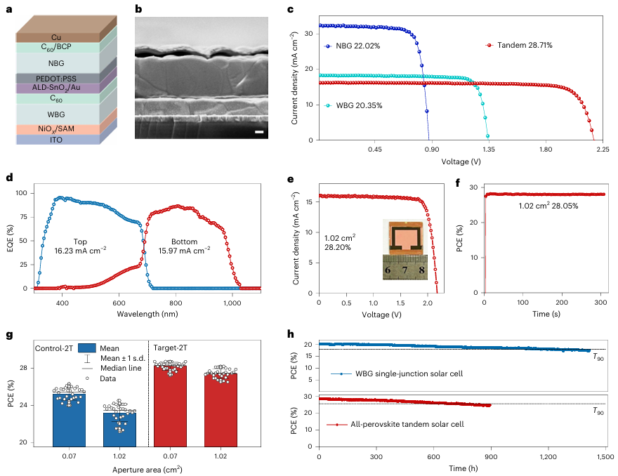 Latest Research from Wuhan University: Piracetam Shapes Wide Bandgap Perovskite Crystals for Scalable Perovskite Tandems