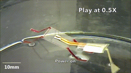 University of Pittsburgh's Miniature "Insect" Robot: Amphibious and Capable of Performing Tasks in Tight Spaces