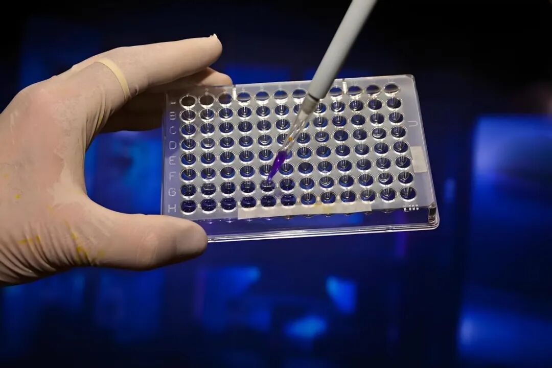 The 3-Nanometer Chip Crisis: How China Fights Back with Rare Earths and Quantum Technology Amid Japan's Supply Cut of Photoresists