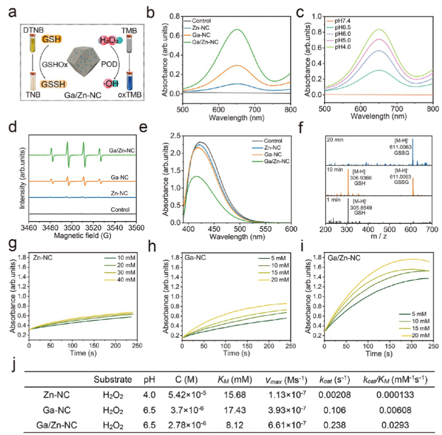 Synergizing Catalysis with Post-catalysis Pseudo-Iron Release by Building Dynamic Catalytic Active Sites in Diatomic Nanozymes for Boosting Cancer Therapy