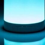 Smart Speaker Concept - Performance Overview: Zhaochi Co., Ltd., Amlogic Co., Ltd., Zhongke Lanyun, GoerTek Inc., and Zhidu Co., Ltd.