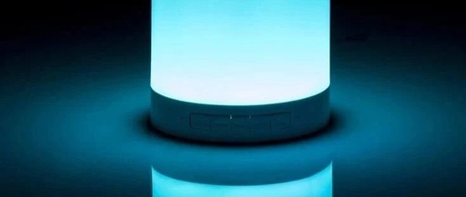 Smart Speaker Concept - Performance Overview: Zhaochi Co., Ltd., Amlogic Co., Ltd., Zhongke Lanyun, GoerTek Inc., and Zhidu Co., Ltd.