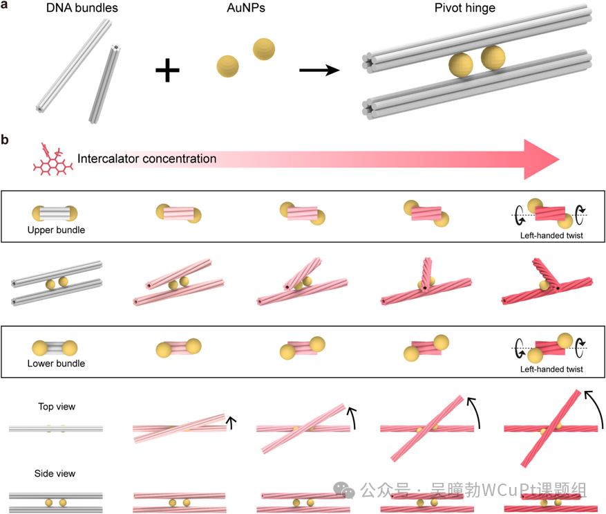 ACS Nano | DNA Origami Pivot Hinge Driven by DNA Intercalators