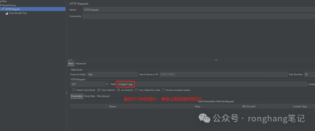 Limiting HTTP Request Connection Count with nginx