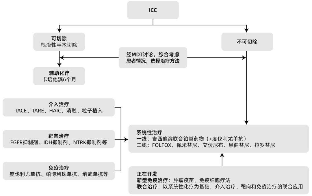 Advances in Diagnosis and Treatment of Intrahepatic Cholangiocarcinoma