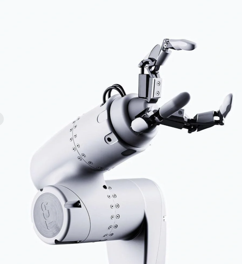 When AI Robots Become New Companions for the Elderly