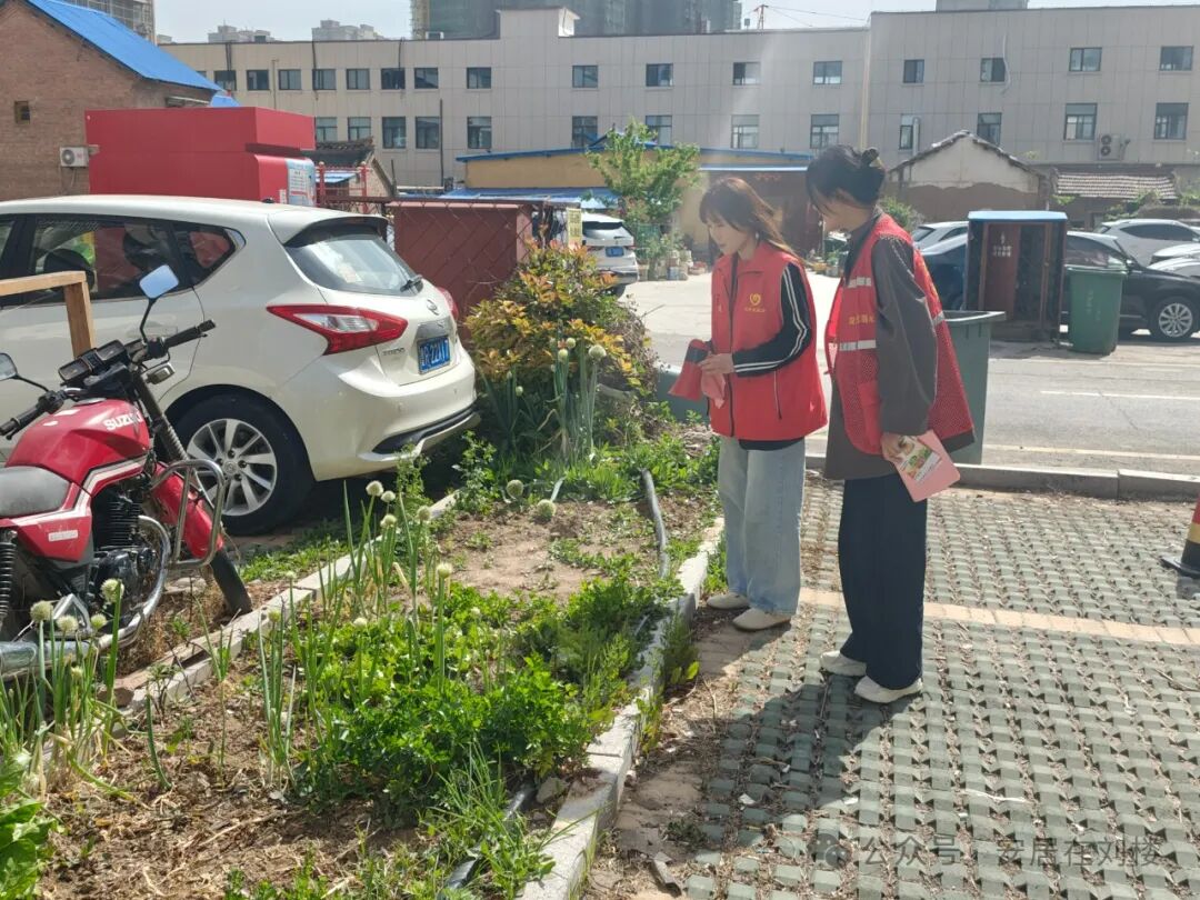 Embedded Services: Strengthening Security Networks through Poppy Inspections