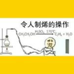 Domestic Semiconductors: Competing for a Breath of Air