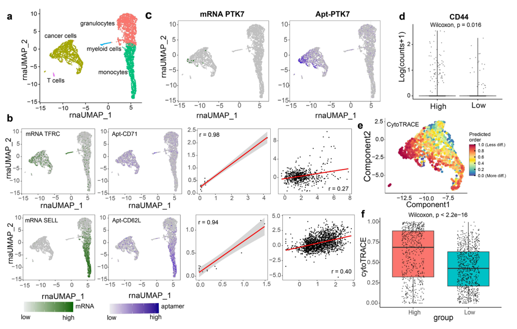 Literature Sharing | J Am Chem Soc: Quantitative Analysis of Single-Cell High-Throughput Multi-Omics Aptomics