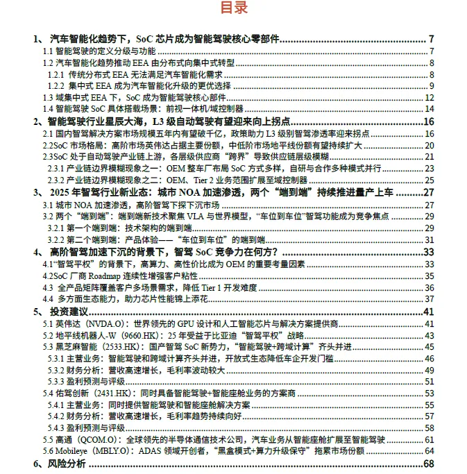 2025 In-Depth Report on Smart Driving SoC Industry
