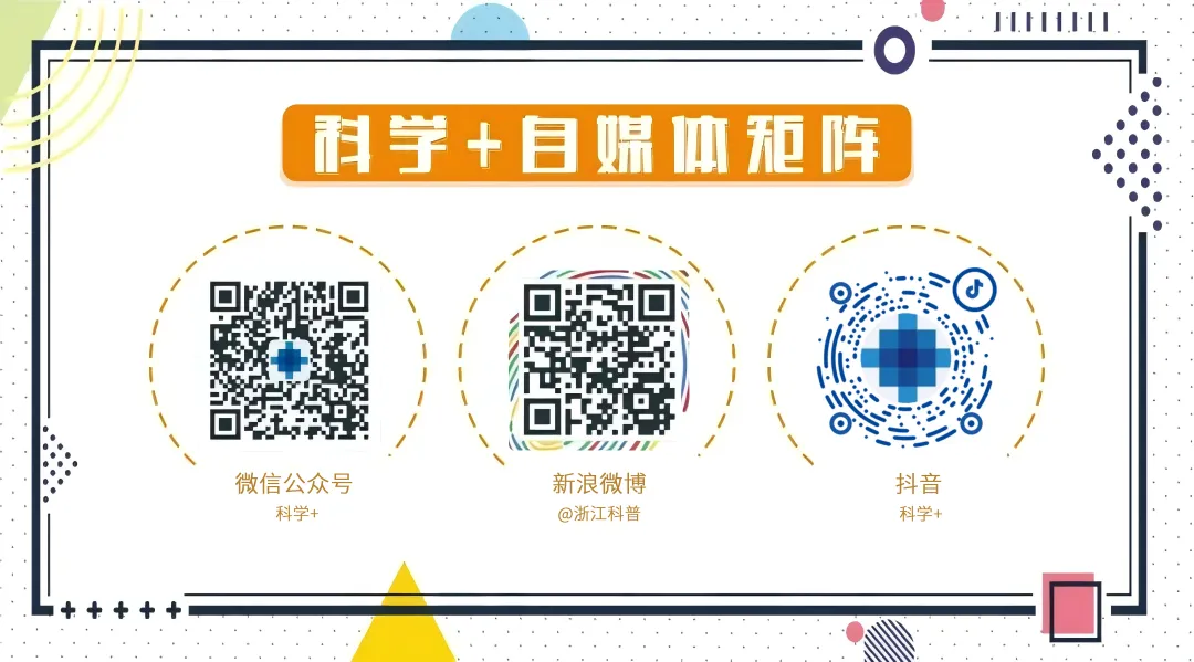 AI-Powered Chip Design: The World's First Fully Automated Processor Design System 'Enlightenment' Released by the Chinese Academy of Sciences