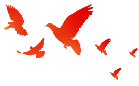 The Efficacy of 18F-FDG PET in Diagnosing Alzheimer's Disease in Patients with Memory Impairment