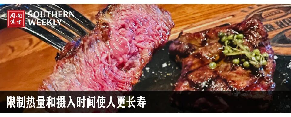 Robots Take on Nucleic Acid Testing: Government Buyers Await Approval