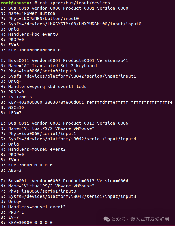 Control and Implementation of the Embedded Linux Input Subsystem